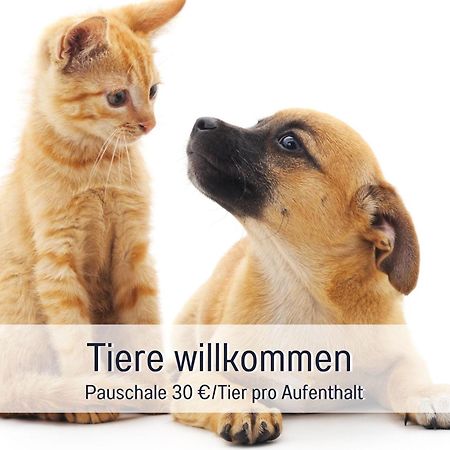 Rosmarin - Kuschelige Fewo - Romantik & Entspannung Im Whirlpool Auf Privater Terrasse, Ruhe & Hund Willkommen - By Ferienwohnenamsee - Uberlingen Extérieur photo